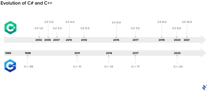 Programming history timeline brief infographic