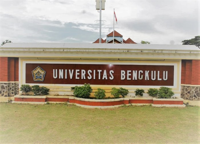 Universitas bengkulu negeri atau swasta