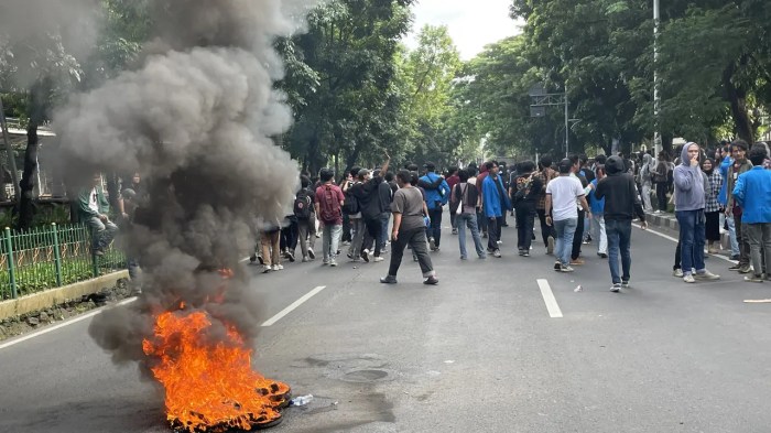 Demo universitas pancasila