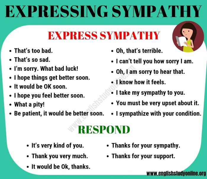 Contoh soal expressing sympathy