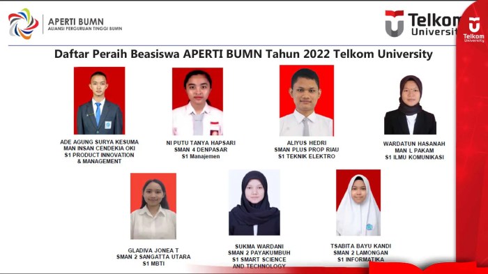 Beasiswa s1 dari aliansi perguruan tinggi aperti bumn