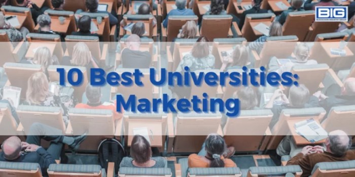 Universitas yang ada jurusan marketing