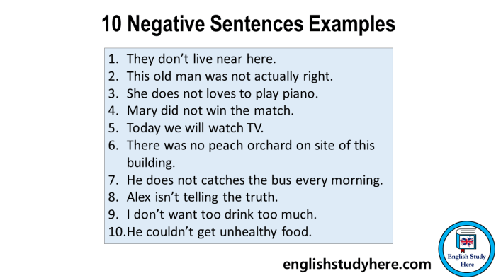 Negative past grammar study english tense verbs