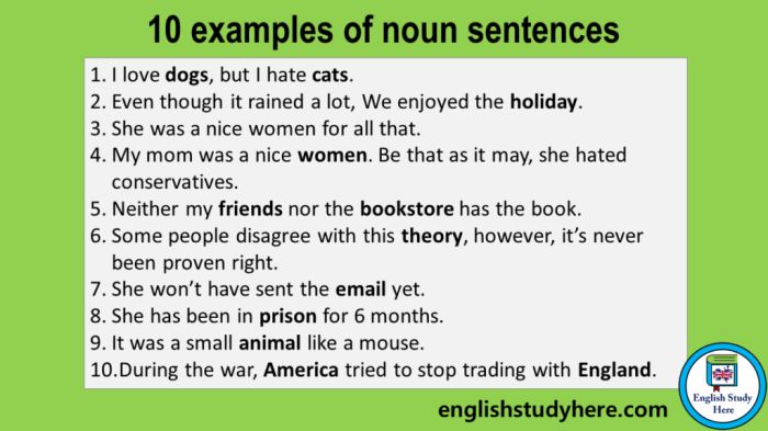 Noun sentences sentence nouns