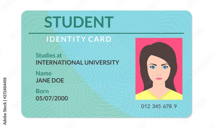 Isic available online cards now here mi ca