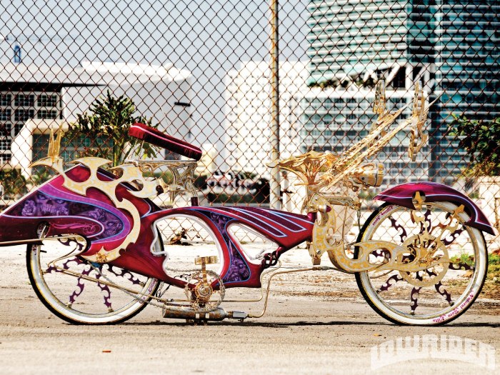 Lowrider bike picture freeimages stock