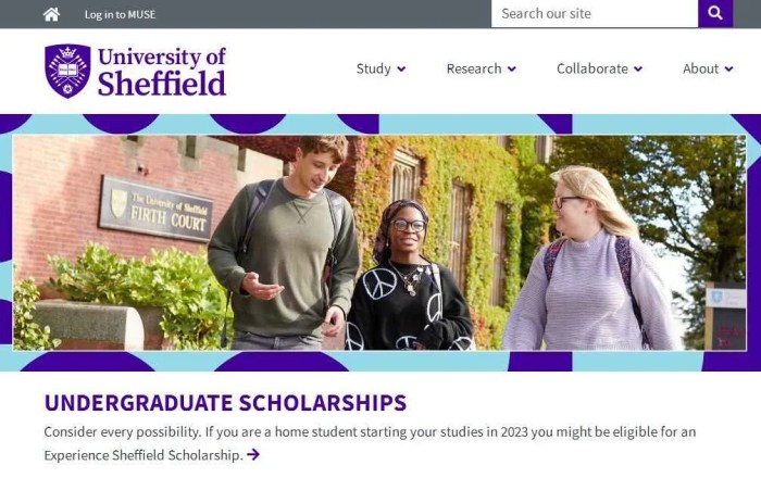 Beasiswa di university sheffield inggris