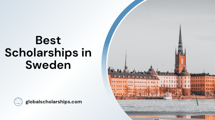 Students pakistani scholarships sweden study why