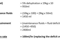 Fluid pediatric nursing math calculating