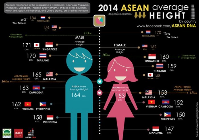 Tall artinya dalam bahasa indonesia