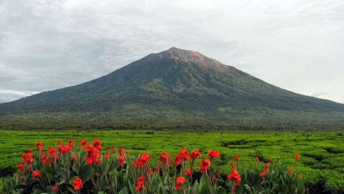 Park artinya dalam bahasa indonesia