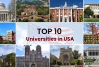 Colleges universities harvard economic scholarships students americas insider