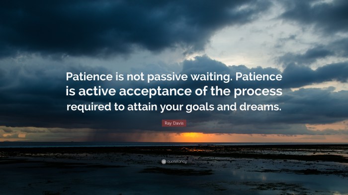 Patience waiting quotes not passive acceptance wallpaper quote active ray process wallpapers goals davis dreams quotefancy character anthony need god