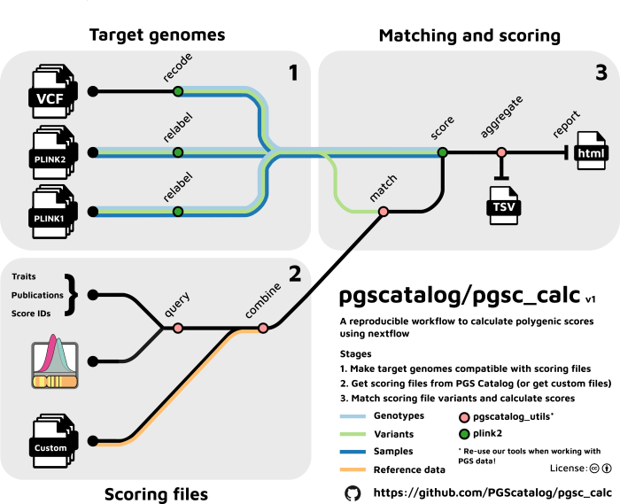 Cara menghitung pgs