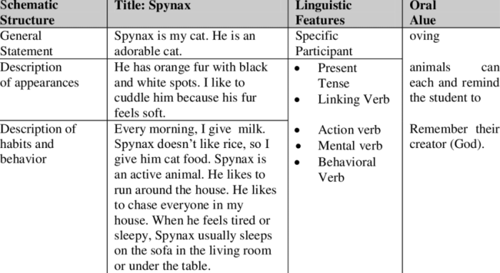 Questionnaire descriptive analyses