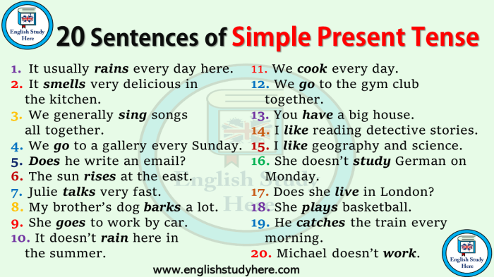 Contoh soal kalimat simple present tense