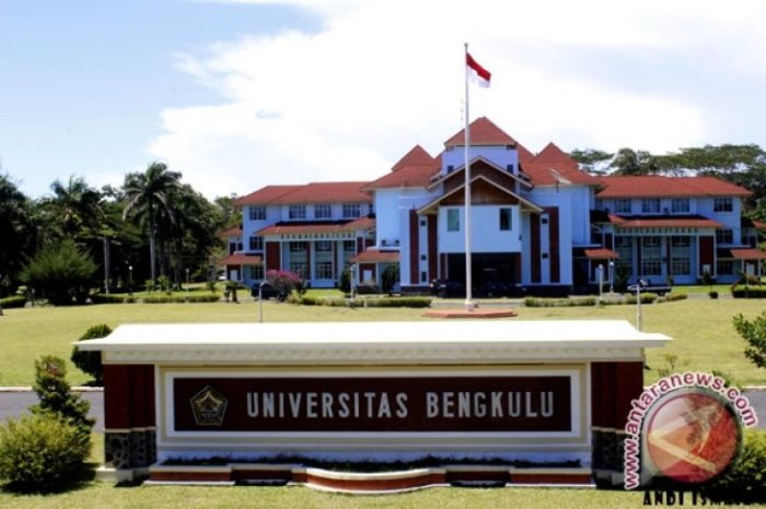 Universitas negeri di bengkulu