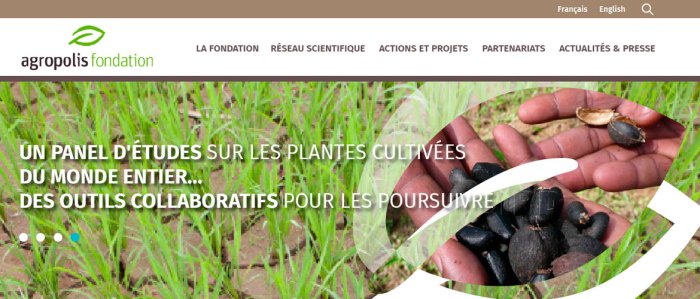 Agropolis fondationsearca joint scholarship program s3 2