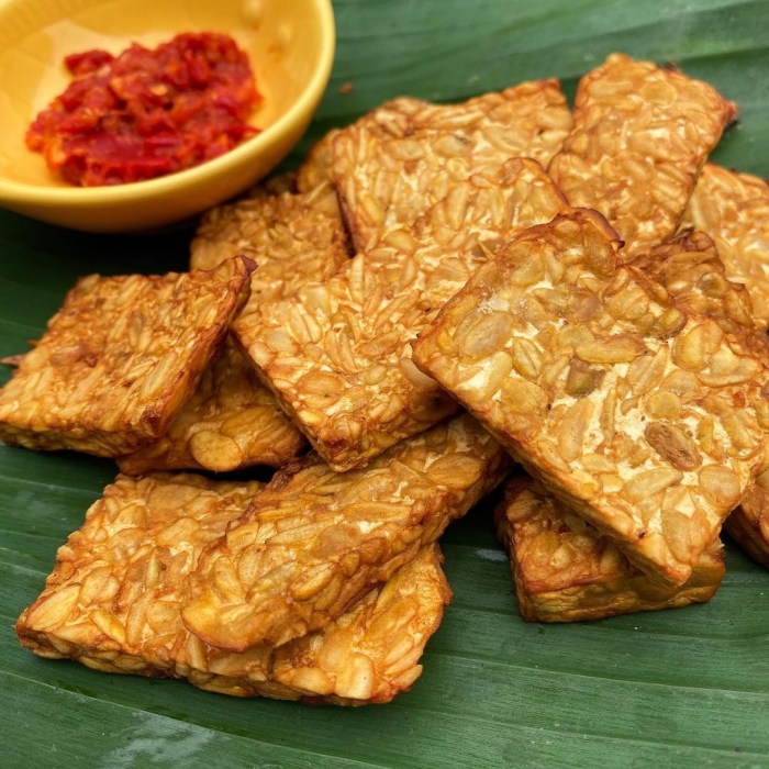 Sejarah tempe di indonesia