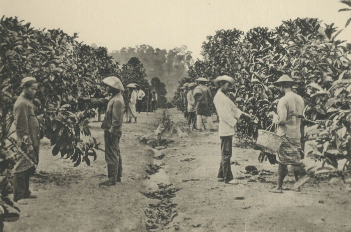 Sejarah indonesia dijajah belanda