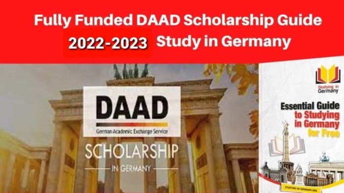 Daad scholarship austauschdienst akademischer countries deutscher