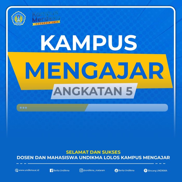 Universitas pendidikan mandalika