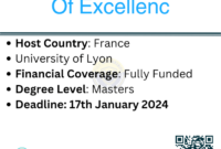 Ampre scholarships of excellence universit de lyon s2 1