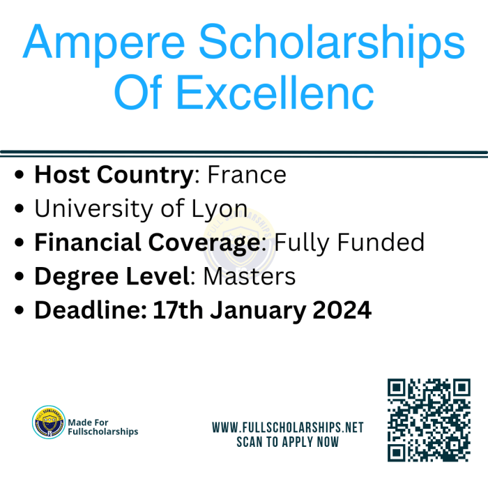 Ampre scholarships of excellence universit de lyon s2 1