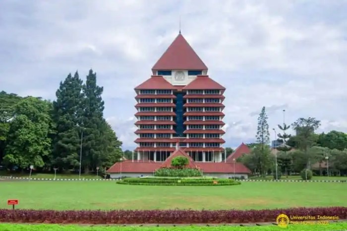 Universitas dekat ui