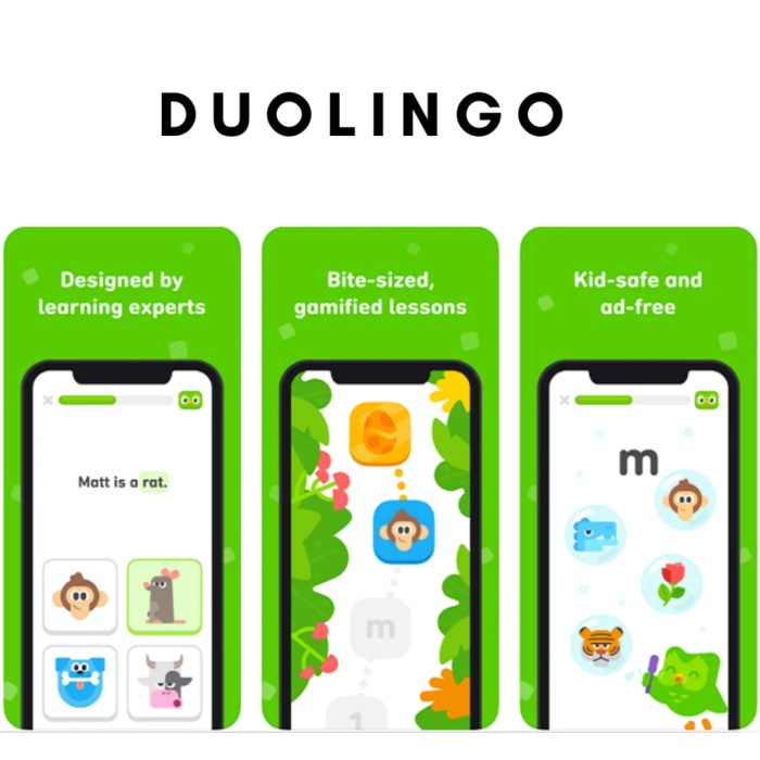 Duolingo highly coding