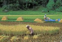 Sejarah perkembangan pertanian di indonesia