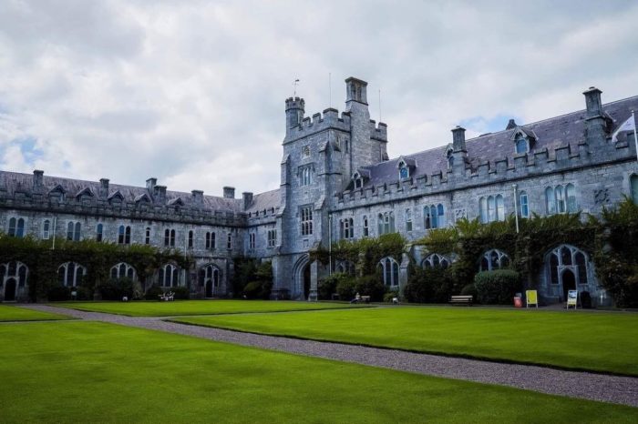 Universitas di irlandia