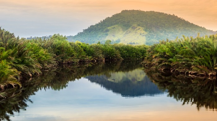 Sejarah kalimantan tengah