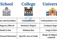 Perbedaan universitas dan akademi