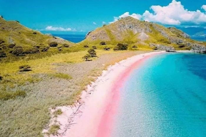 Lombok wisata raja pink