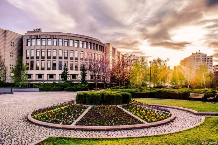 Universitas turki