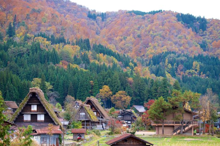 Villages ogimachi