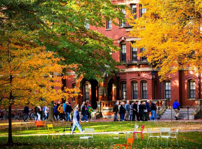 Universities world top 20 university ceoworld harvard