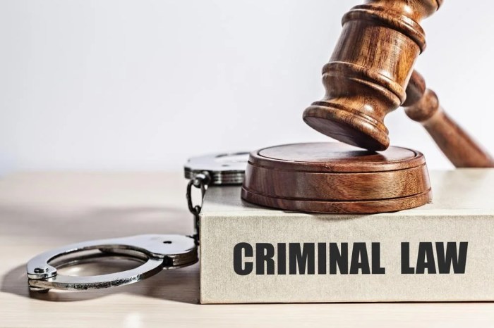 Lawyer criminal lawyers