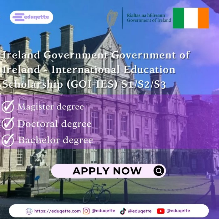 Government of ireland international education scholarships goi ies s2 1