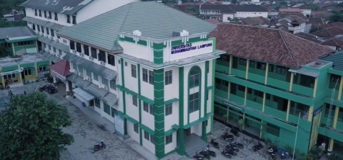 Universitas kesehatan di lampung