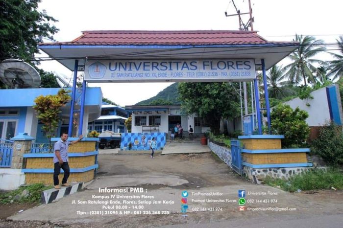 Universitas flores ende