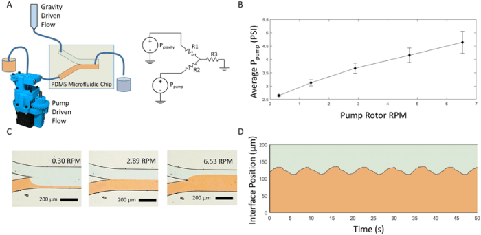 Cara menghitung kecepatan syringe pump