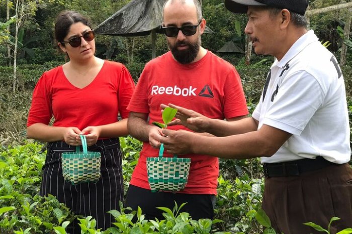 Yogyakarta tugu dekat rekomendasi pal wisata pilihan guideku murai