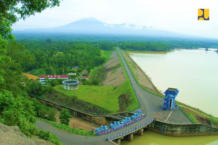 Sejarah gajah mungkur