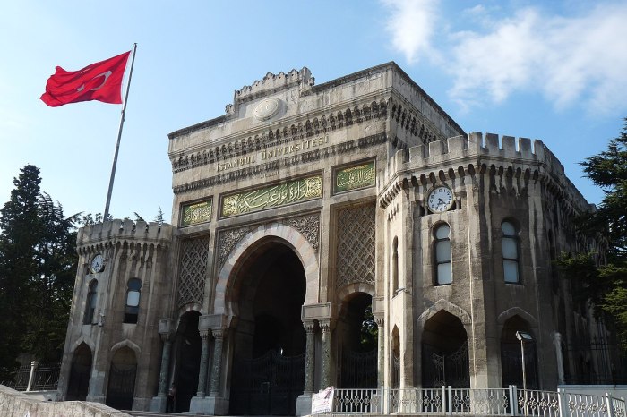 Universitas turki