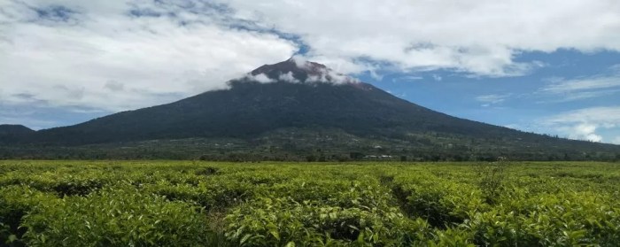 Sejarah kerinci