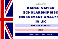 Karen napier scholarship msc investment analysis s2 1