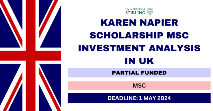 Karen napier scholarship msc investment analysis s2 1