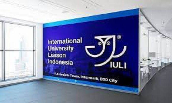 Universitas indonesia hubungan internasional